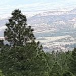 Lower Pleasant Creek Campground