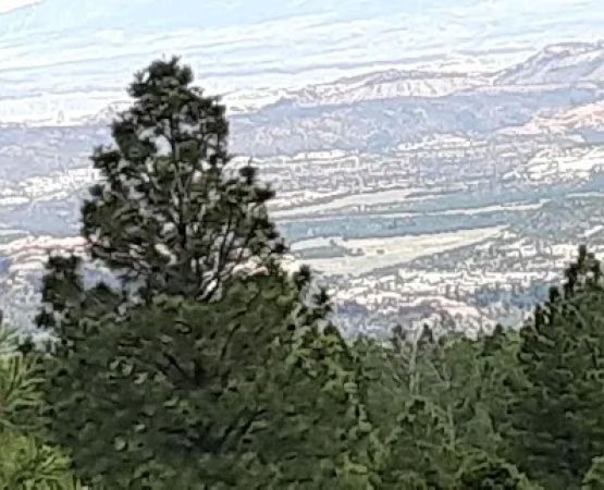 Lower Pleasant Creek Campground