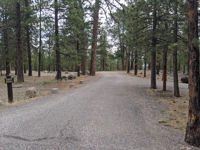 Lower Pleasant Creek Campground 7