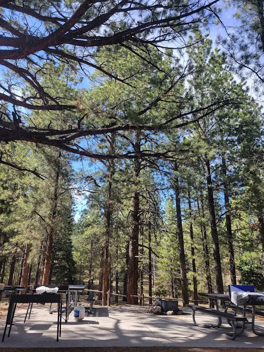 Rosebud ATV Campground and Rec Site 3