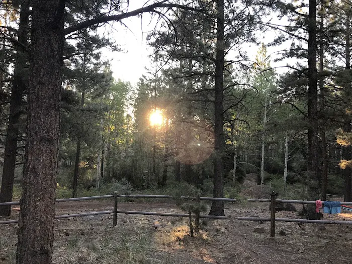 Rosebud ATV Campground and Rec Site 8