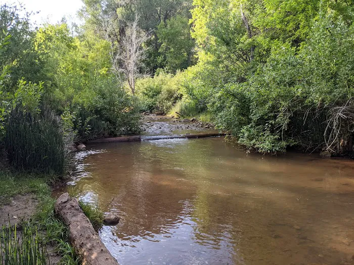 Adelaide Campground 4