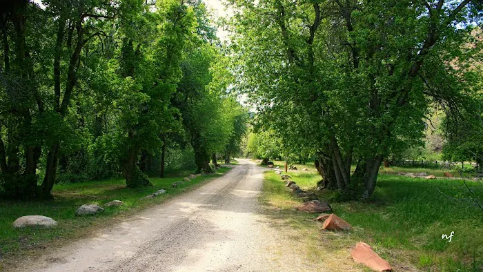 Adelaide Campground 8