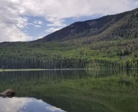 Anderson Meadow Dam CUA (recgovnpsdata)