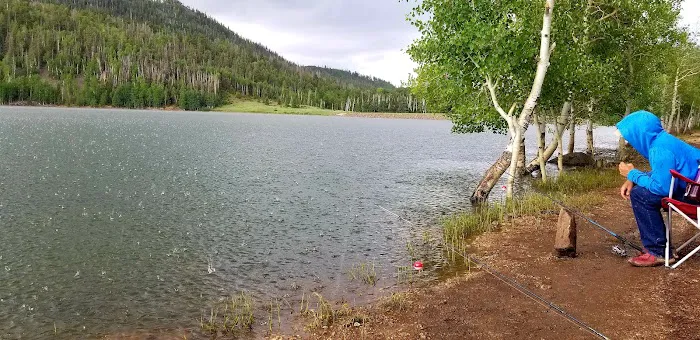 Anderson Meadow Dam CUA (recgovnpsdata) 2
