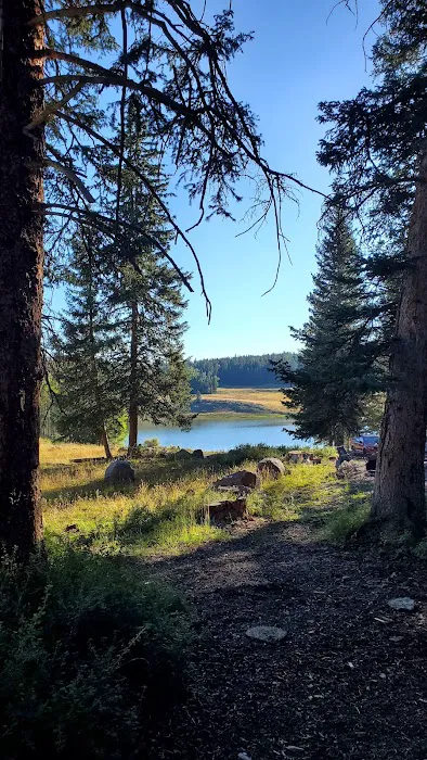 LeBaron Rec Site Campground 1