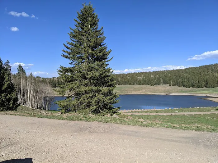 LeBaron Rec Site Campground 5