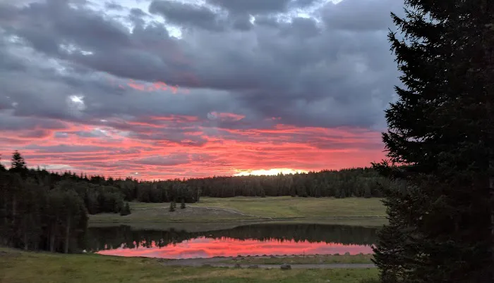 LeBaron Rec Site Campground 6