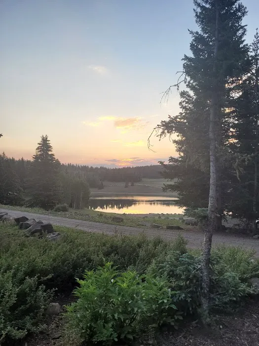 LeBaron Rec Site Campground 8