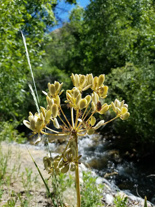 City Creek Trailhead (recgovnpsdata) 5