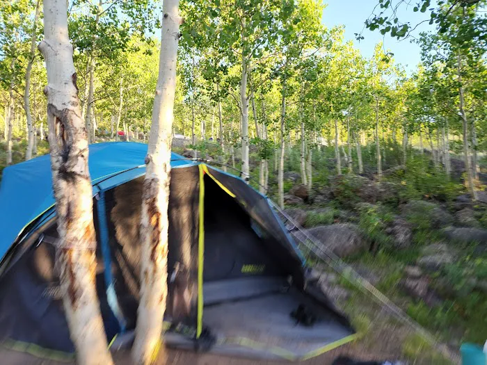 Bowery Creek Rec Site Campground 5