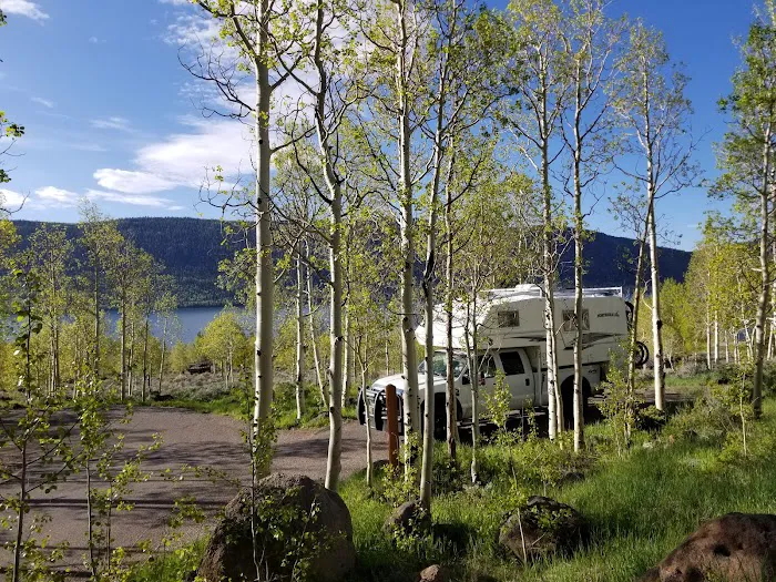 Bowery Creek Rec Site Campground 6