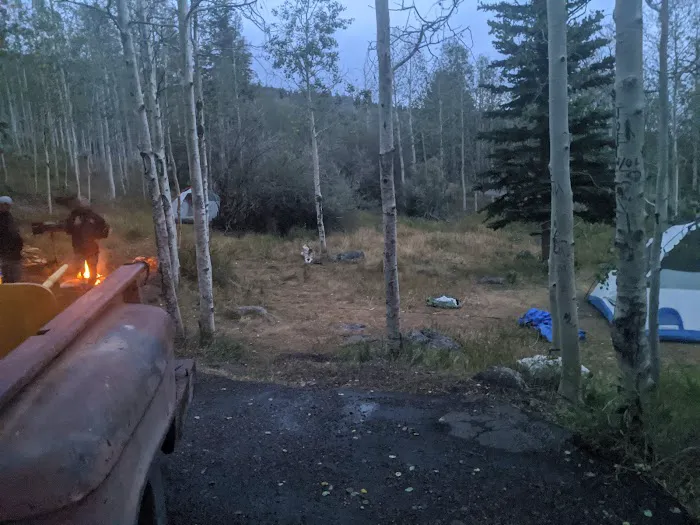 Bowery Creek Rec Site Campground 8