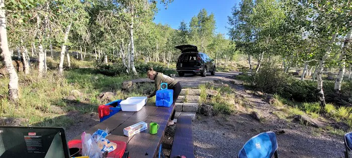 Bowery Creek Rec Site Campground 9