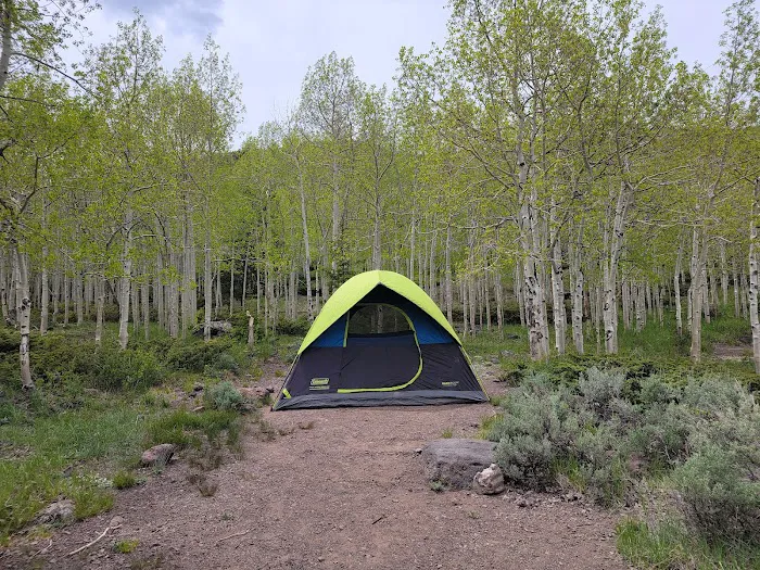 Mackinaw Campground 4