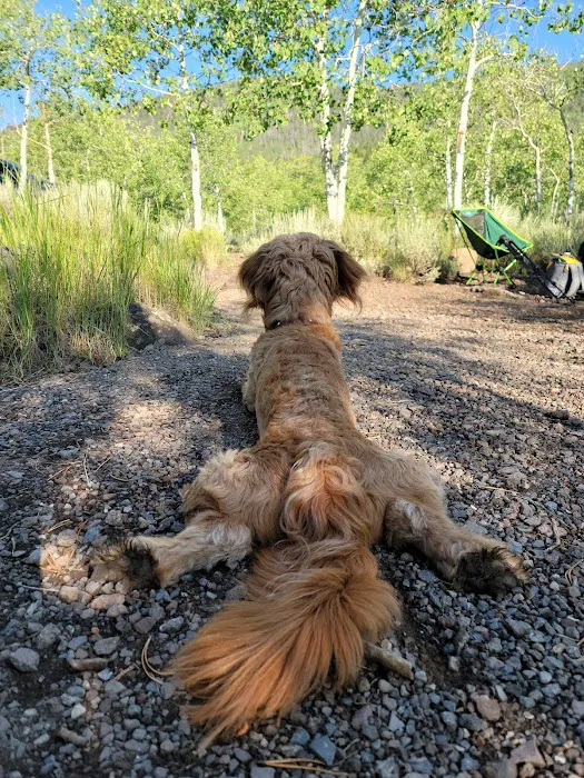 Mackinaw Campground 8