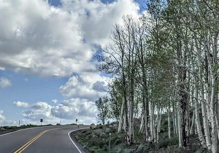 Doctor Creek Campground 1