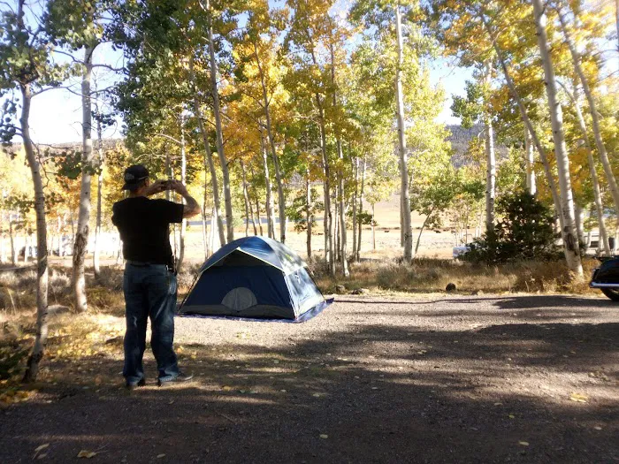 Doctor Creek Campground 7