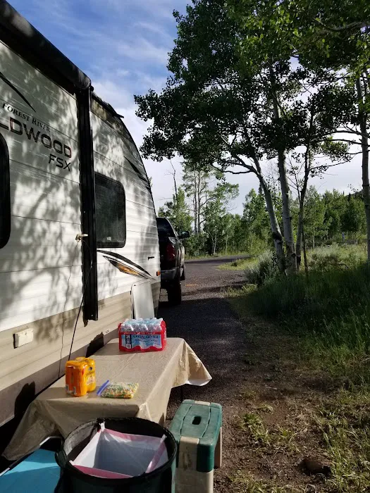 Frying Pan Campground 7