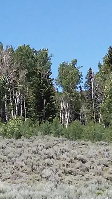 Paiute Campground 4