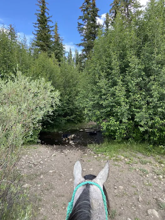 Tasha Equestrian Campground 1