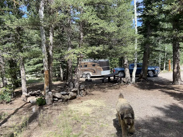 Tasha Equestrian Campground 0