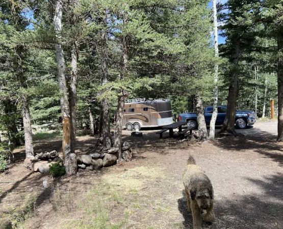 Tasha Equestrian Campground