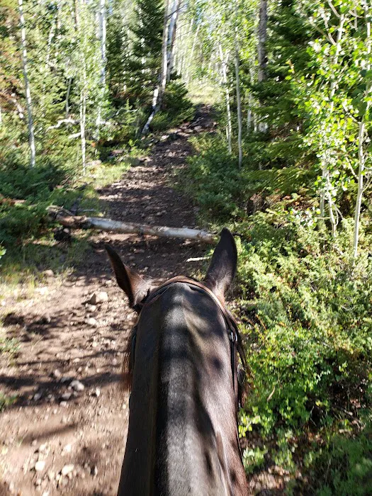 Tasha Equestrian Campground 2