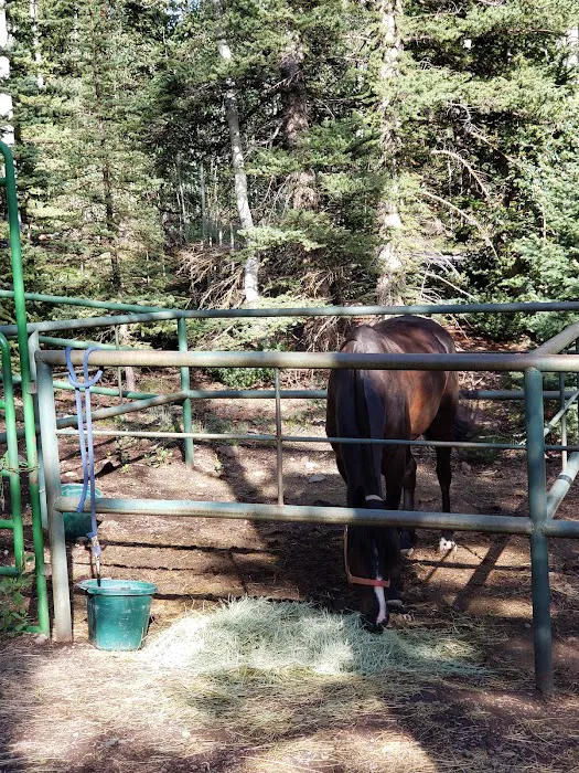 Tasha Equestrian Campground 4