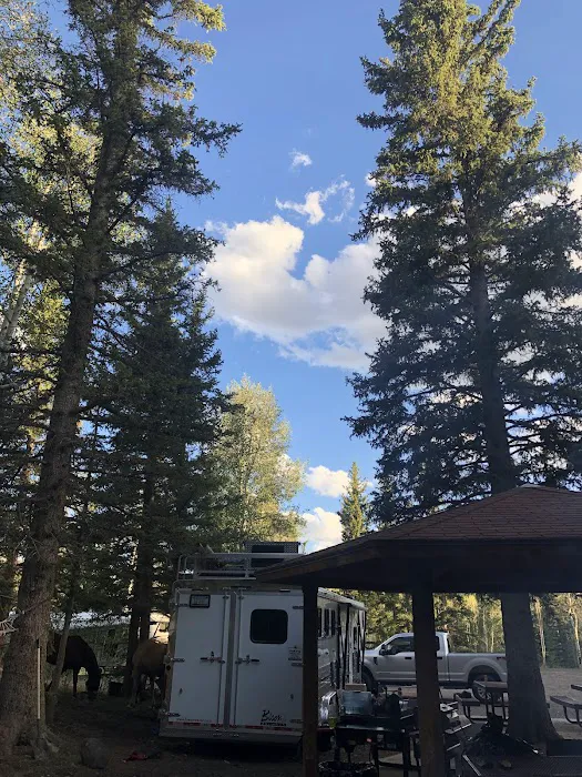 Tasha Equestrian Campground 7