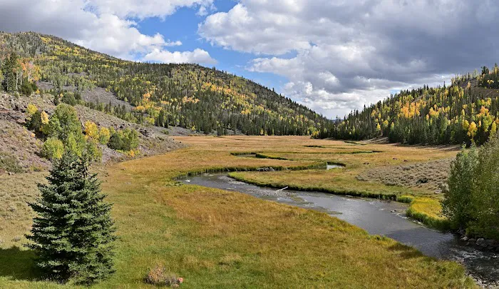 Zedds Meadow CUA Dispersed (recgovnpsdata) 1