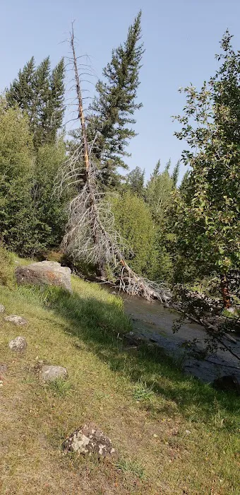 Zedds Meadow CUA Dispersed (recgovnpsdata) 0