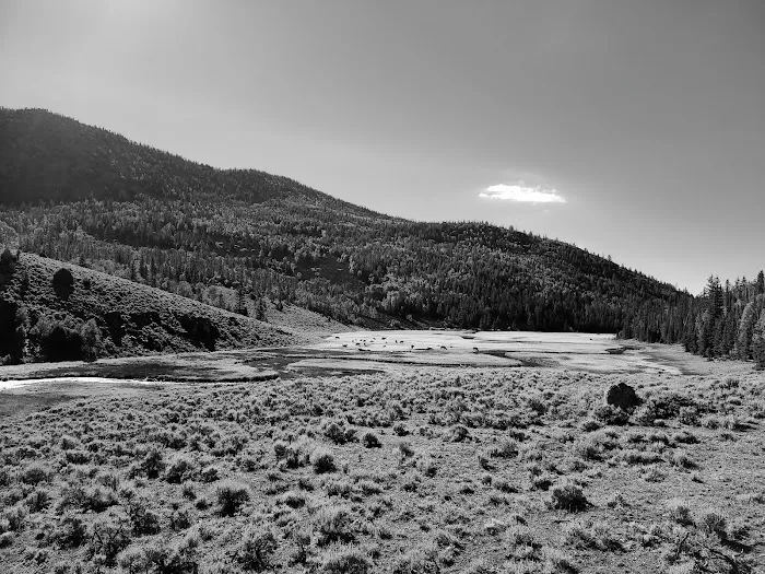 Zedds Meadow CUA Dispersed (recgovnpsdata) 5