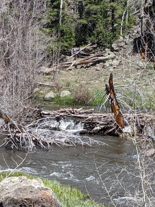 Zedds Meadow CUA Dispersed (recgovnpsdata) 6