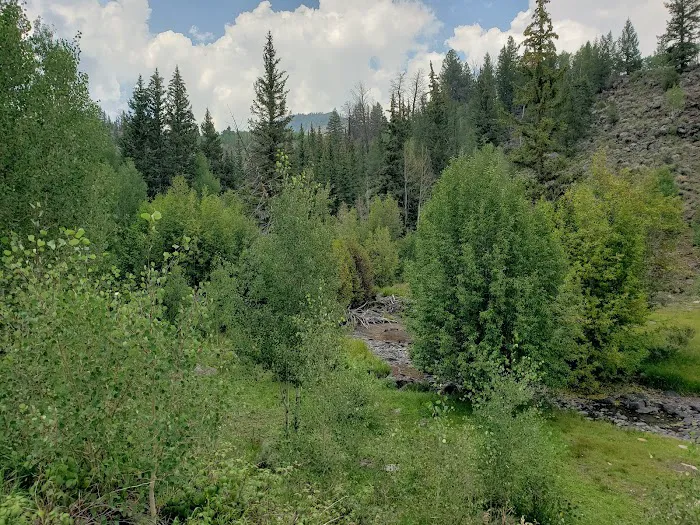 Zedds Meadow CUA Dispersed (recgovnpsdata) 8