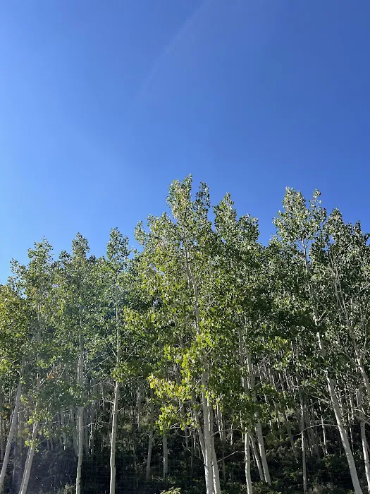 Retreats at Moonlight Ranch LLC 9