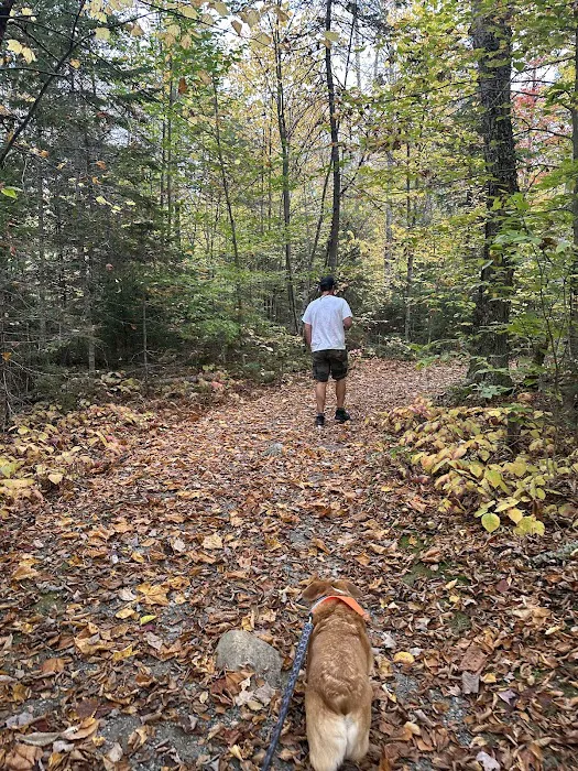 Mt Blue State Park Campground 3