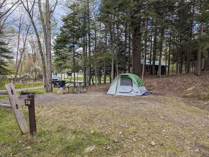 Umbagog Lake State Park Campground 5