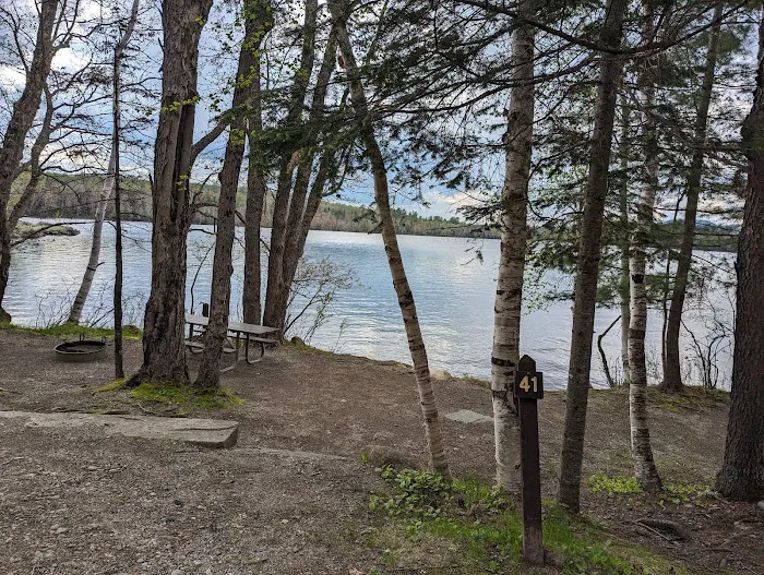 Umbagog Lake State Park Campground 7