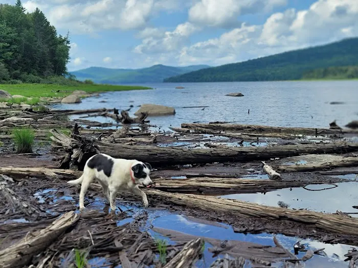 Black Brook Cove Campground 1