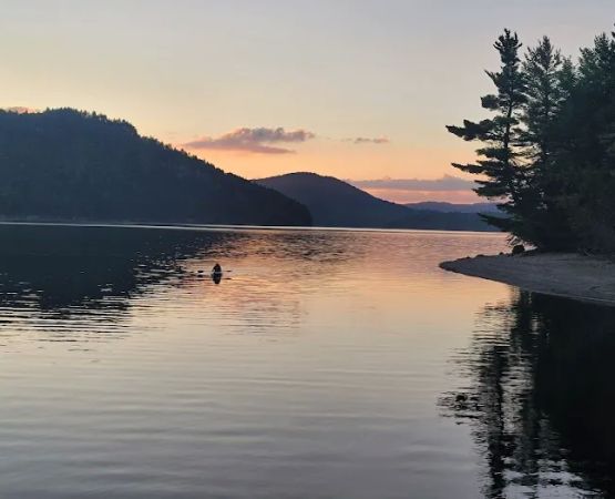 Black Brook Cove Campground