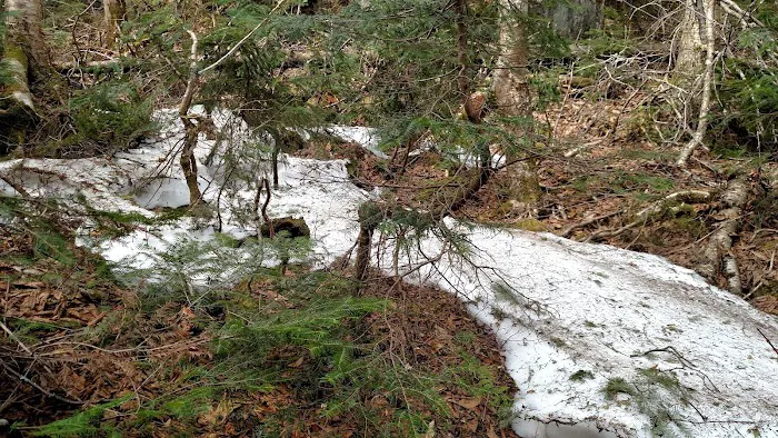 Black Brook Cove Campground 4