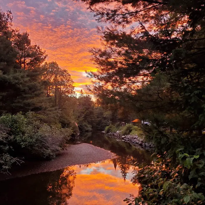Clear Stream Campground 7