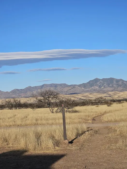 Empire Ranch Airstrip Group Camp Site 0