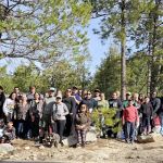 Whitetail Group Site