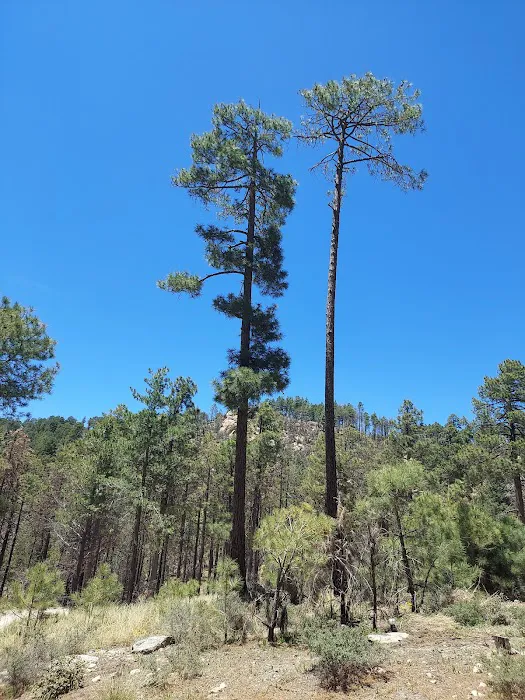 Spencer Canyon Campground 8