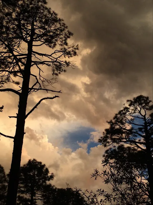 Spencer Canyon Campground 6