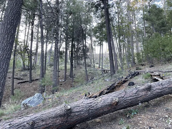 Spencer Canyon Campground 3