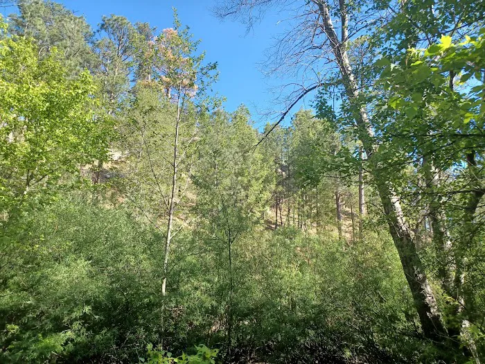 Rose Canyon Campground 5