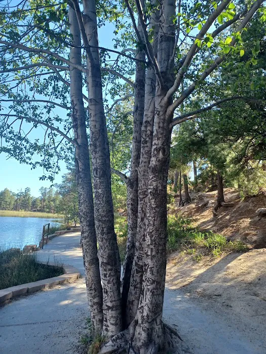 Rose Canyon Campground 8